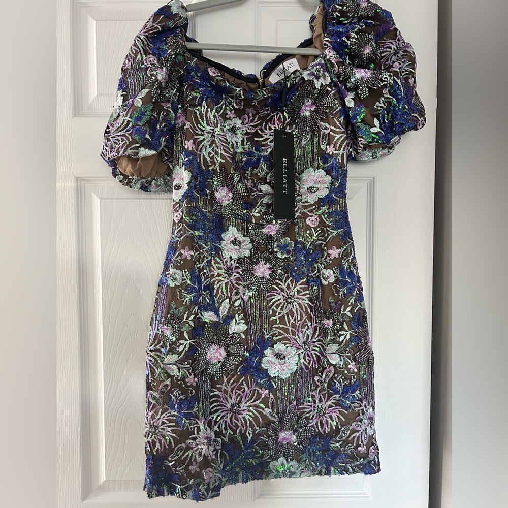 Elliatt Multicolor Embroidered Dress with Puff Sleeves